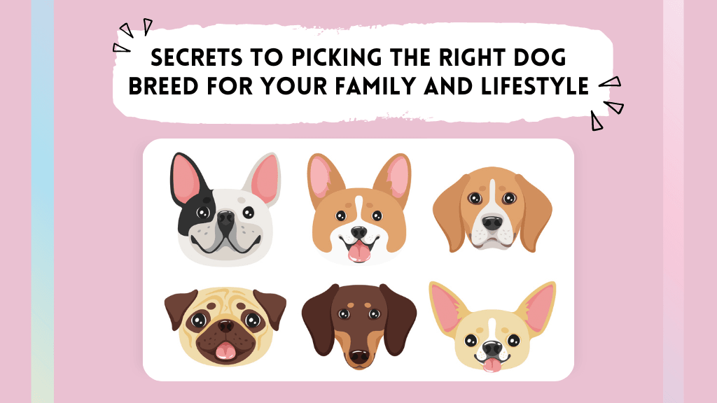 Secrets to Picking the Right Dog Breed for Your Family and Lifestyle Secrets to Picking the Right Dog Breed for Your Family and Lifestyle